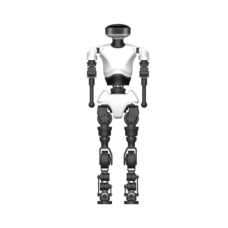 HRbot E型-教育人形机器人